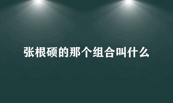 张根硕的那个组合叫什么