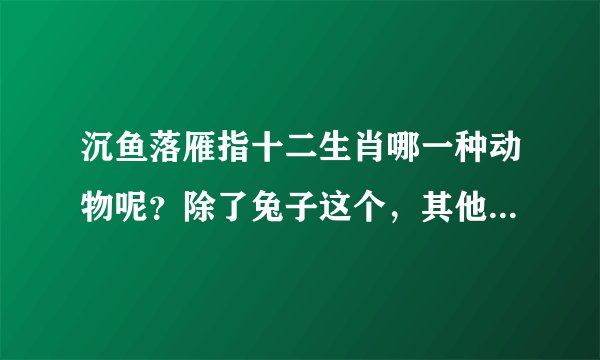 沉鱼落雁指十二生肖哪一种动物呢？除了兔子这个，其他会是什么呢？求解，解释一下，谢谢！！