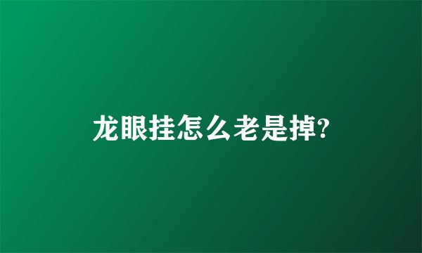 龙眼挂怎么老是掉?