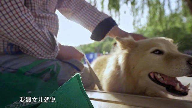 妈妈去世了不到一个月 ，爸爸每天非常难受 ，我也特别难受，怎么办？