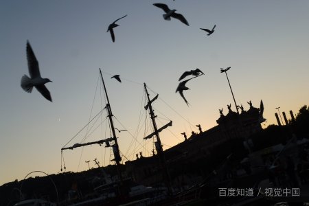 坠和堕的区别是什么？