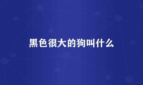黑色很大的狗叫什么