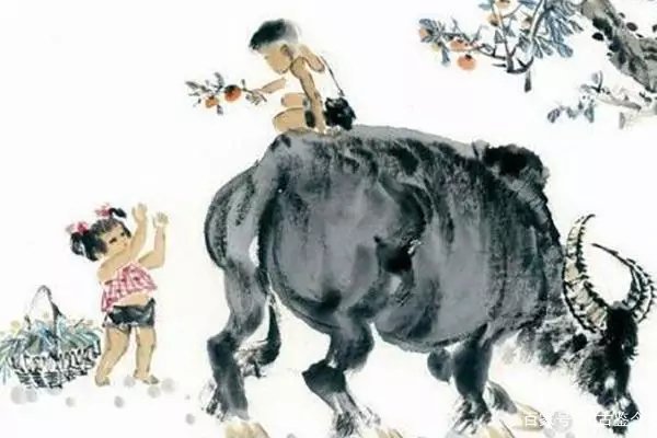 2009年属牛的什么命