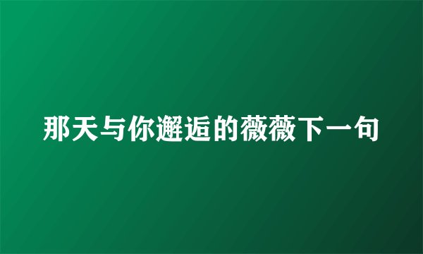 那天与你邂逅的薇薇下一句