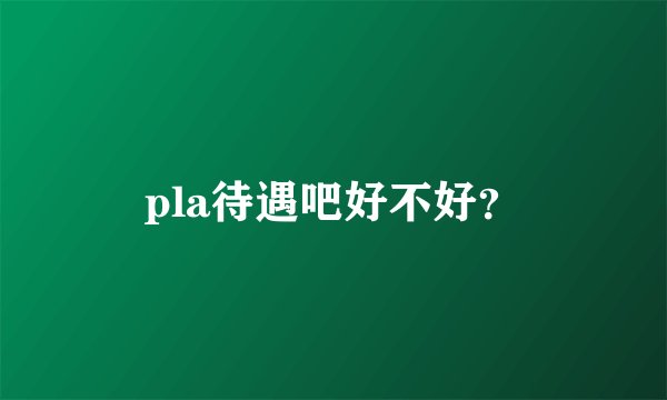 pla待遇吧好不好？