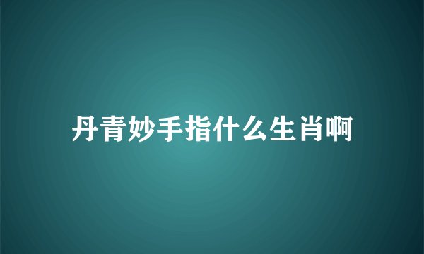 丹青妙手指什么生肖啊
