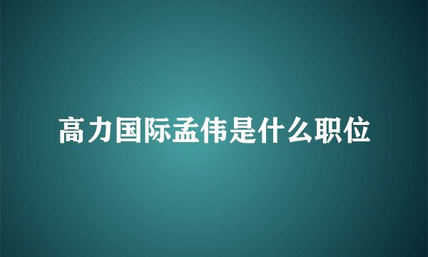 高力国际孟伟是什么职位