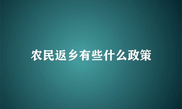 农民返乡有些什么政策