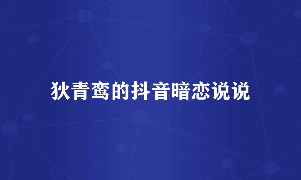 狄青鸾的抖音暗恋说说