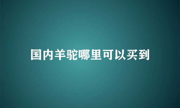 国内羊驼哪里可以买到