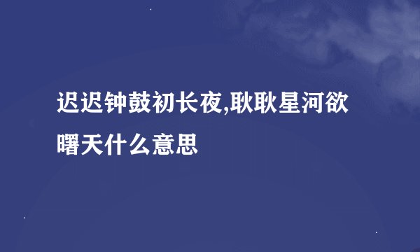 迟迟钟鼓初长夜,耿耿星河欲曙天什么意思