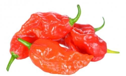 hottest是什么意思