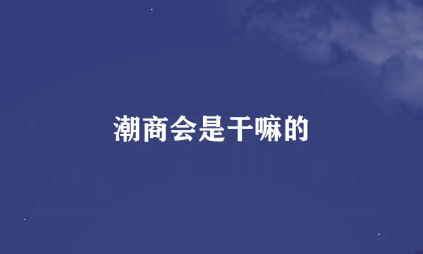 潮商会是干嘛的
