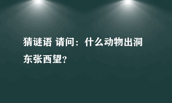 猜谜语 请问：什么动物出洞东张西望？