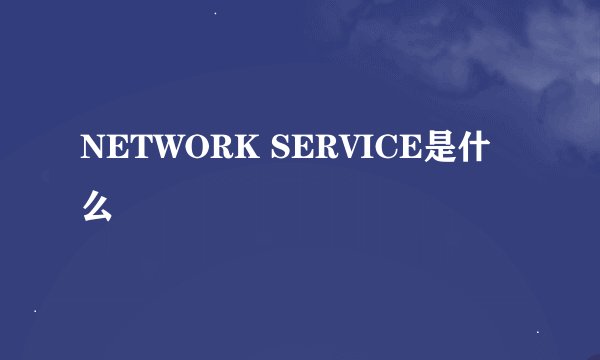 NETWORK SERVICE是什么