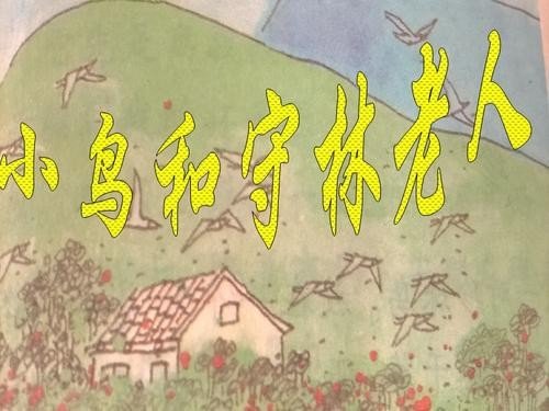 小鸟和守林老人答案