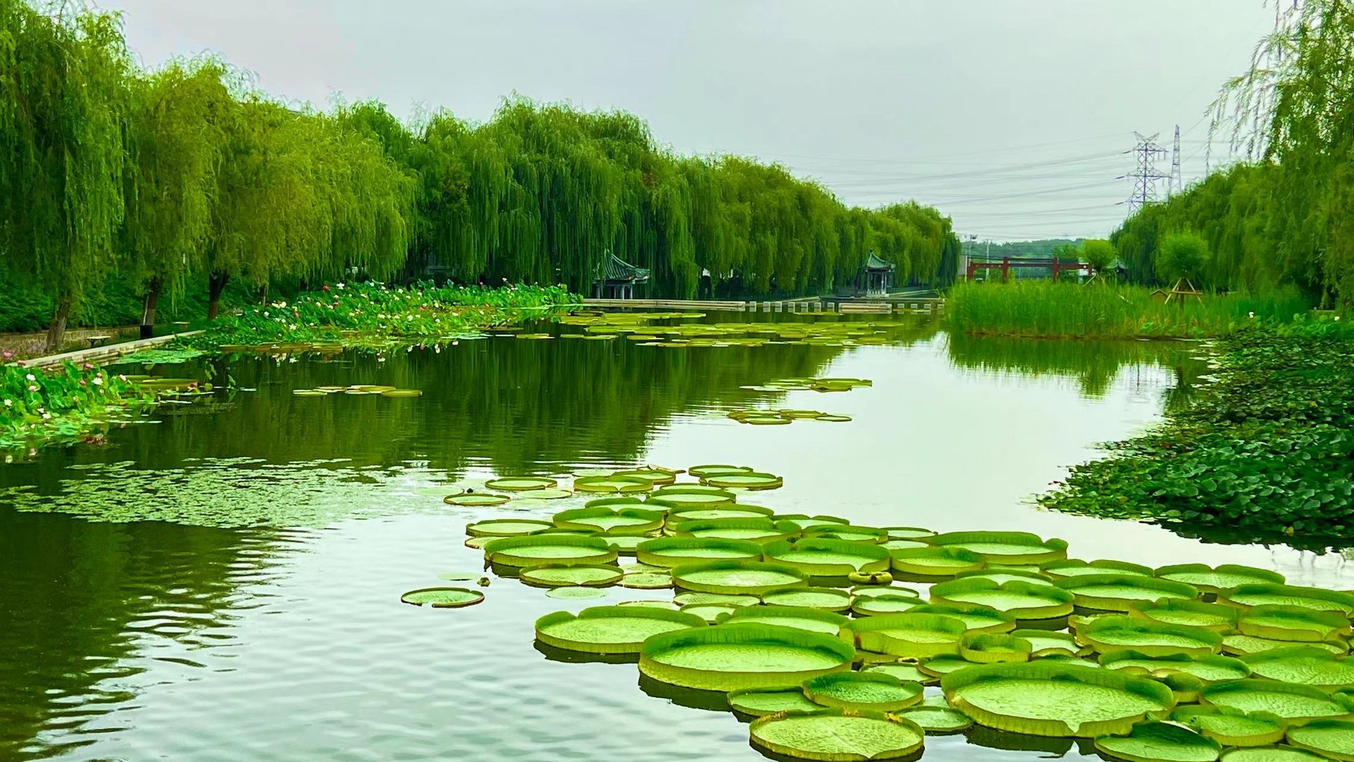 海淀驾校约车，如何能约到？