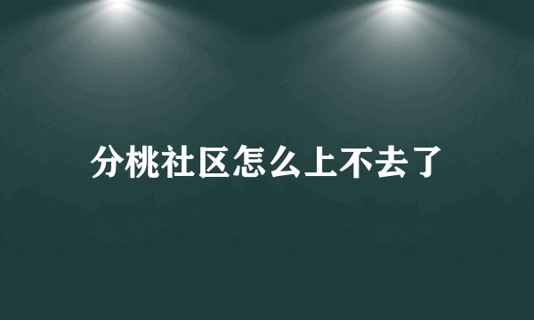 分桃社区怎么上不去了