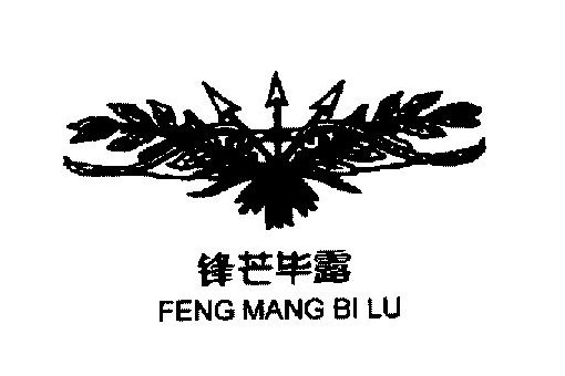 锋芒毕露的意思及解释