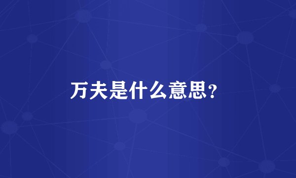 万夫是什么意思？