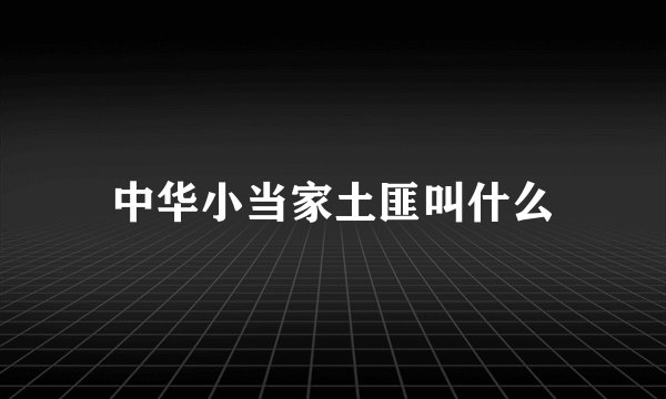 中华小当家土匪叫什么