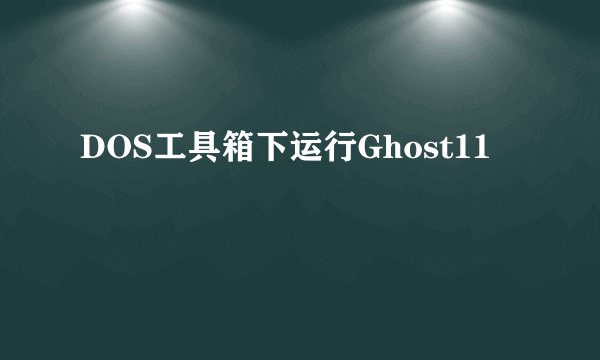 DOS工具箱下运行Ghost11