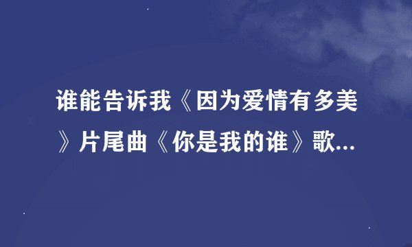 谁能告诉我《因为爱情有多美》片尾曲《你是我的谁》歌词，谢谢