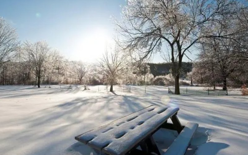 三月份下雪有什么说法