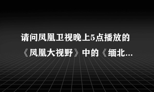 请问凤凰卫视晚上5点播放的《凤凰大视野》中的《缅北恩仇录》中的《罂粟花之歌》哪里有下载