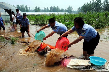 互帮互助.携手共进什么意思