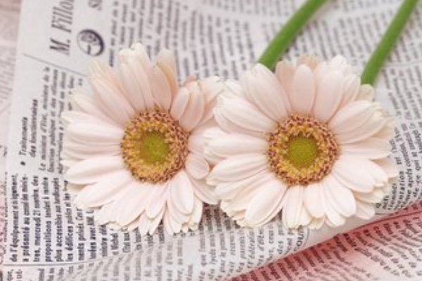 林深时见鹿，海蓝时见鲸，梦醒时见你 这句话是什么意思