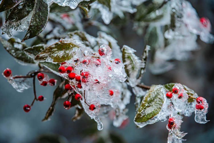 今年三九没有二九冷,是什么原因导致二九这么冷?