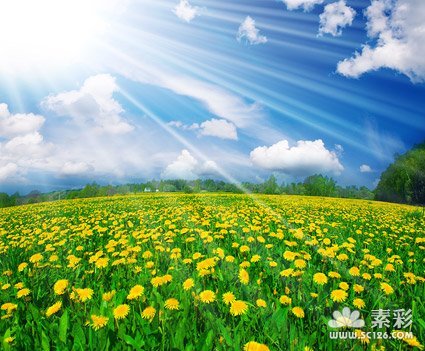 美好2012之春暖花开的介绍