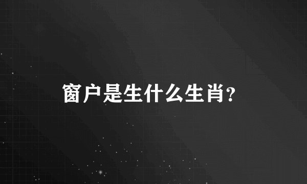 窗户是生什么生肖？