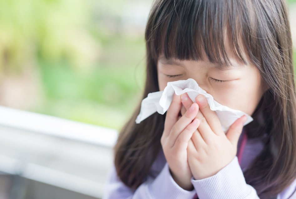 cover是什么意思英语