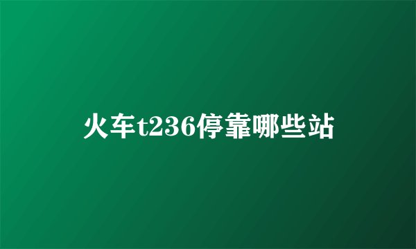 火车t236停靠哪些站