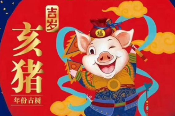 乙亥年是什么意思