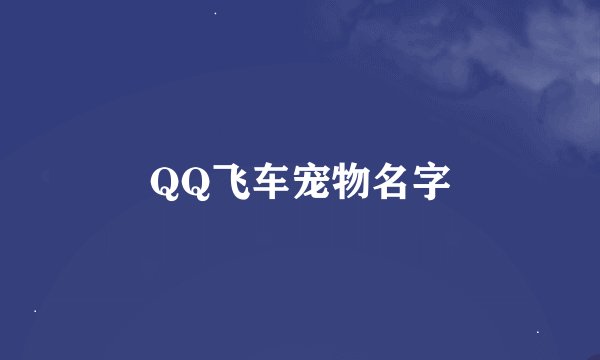 QQ飞车宠物名字