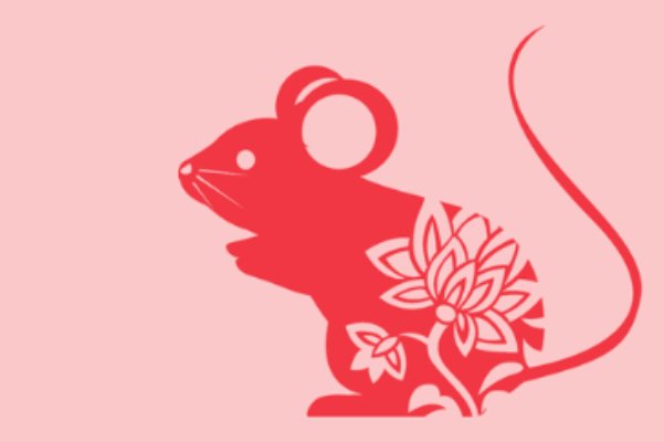 欺世惑俗打一正确生肖