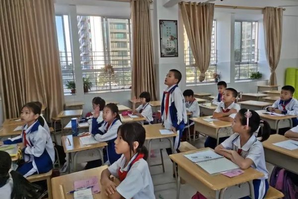 allin的意思是什么?