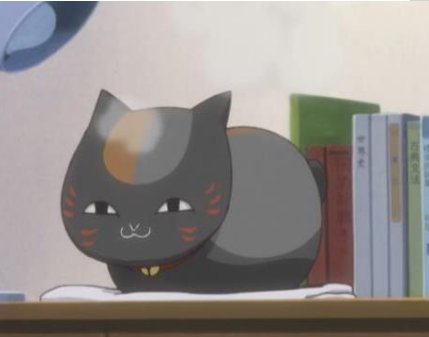 狸追最后去哪了