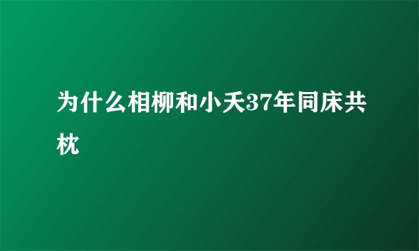 为什么相柳和小夭37年同床共枕