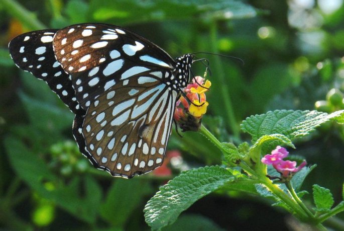 米的老公叫什么？