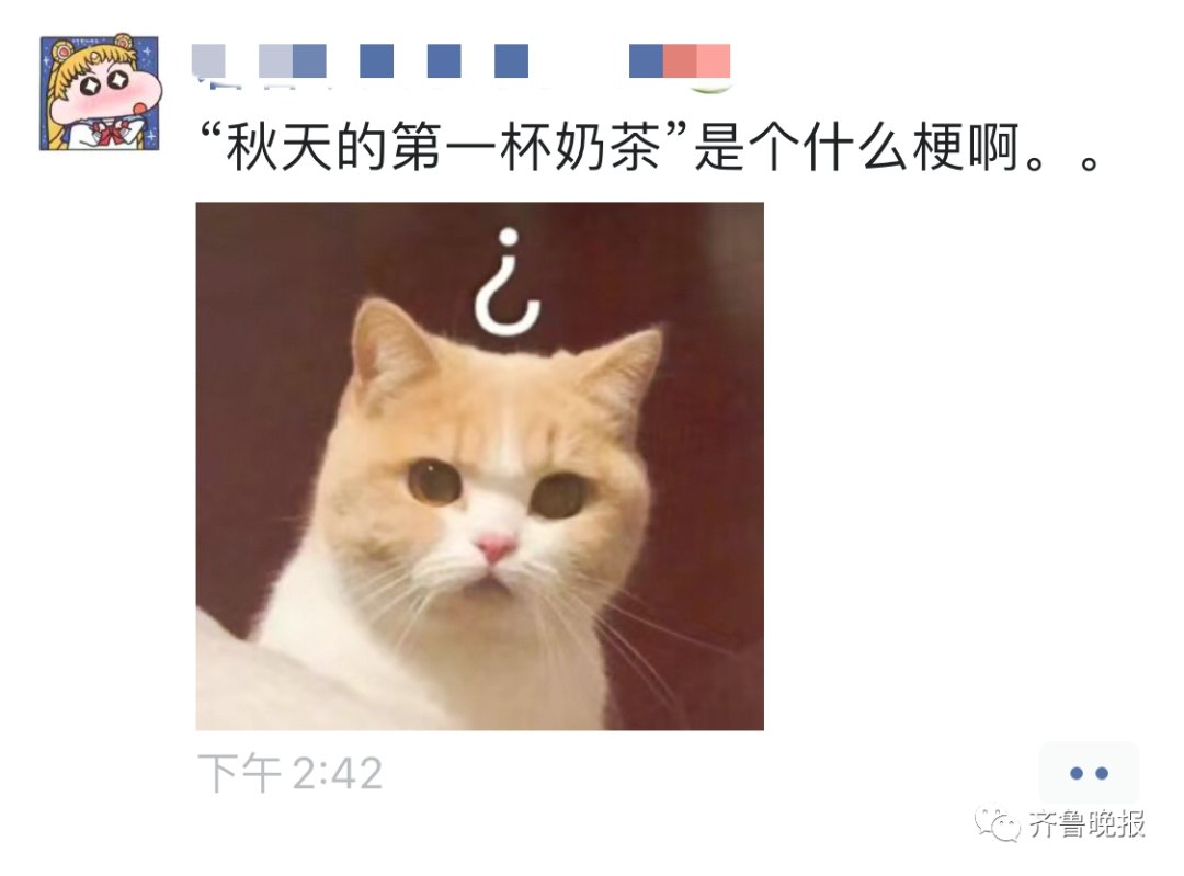 秋天第一杯奶茶被注册成公司,究竟是什么情况?