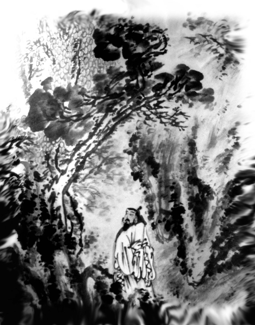 “青山绿水”的下一句是什么？