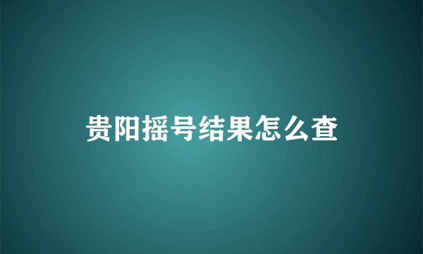 贵阳摇号结果怎么查