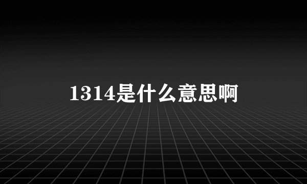 1314是什么意思啊
