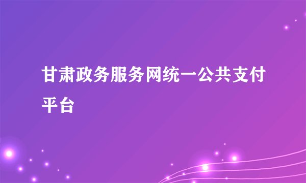 甘肃政务服务网统一公共支付平台