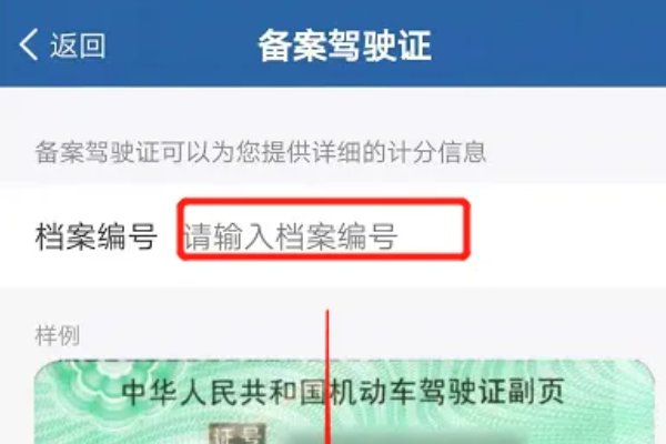 怎么查车辆违章记录?