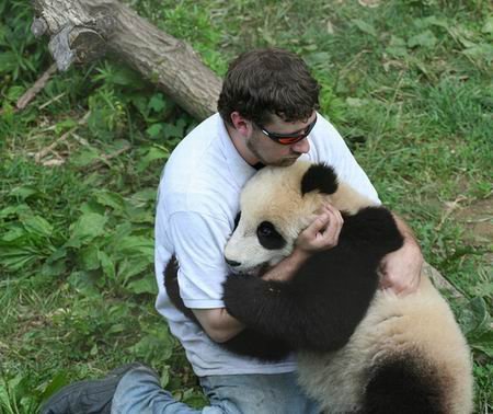 史上最寂寞熊猫的事件经过